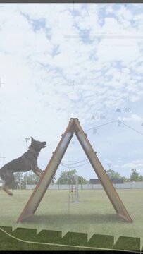 Vertical video: Dog entering left climbing Aframe leaping right while HUD tracking graph for sport