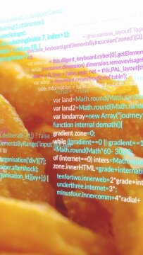 Vertical video: Fried strips, code overlay appearing from 3rd, scrolling over batter, showing tech