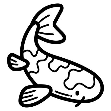 carp illustration