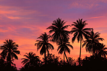 Obraz premium Palm trees silhouetted against a vibrant twilight sky, creating a tropical island sunset scene at dusk