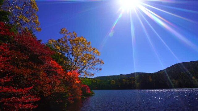 紅葉の白駒池と太陽の光芒
