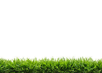 Fototapeta premium Grass, green lawn, Abstract natural beautiful background for showcasing products, goods, text. Nature, flora, eco-friendliness.