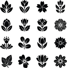Fototapeta premium A collection of black and white flower silhouettes