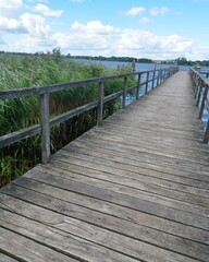 Obraz premium Wooden pier extending into tranquil water with reeds