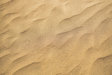 Golden sand dune ripples abstract texture top view landscape © Zaitseva