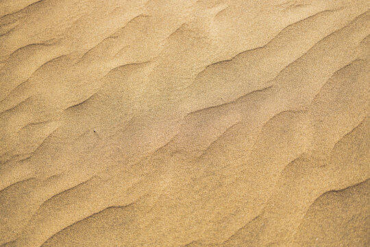 Golden sand dune ripples abstract texture top view landscape