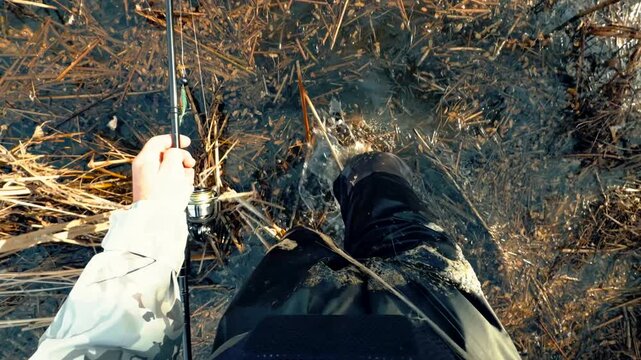 Fisherman Wearing Waterproof Waders Wading Through Marshy River. Catching Fish In Wilderness. Active Outdoor Recreation And Hobby