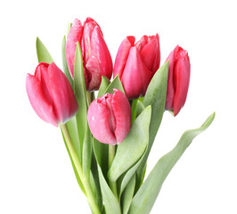 Fototapeta premium Bouquet of pink tulips isolated on white