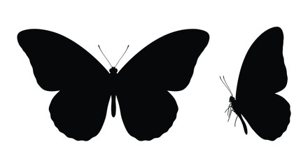 Two black butterflies in different poses on transparent background silhouette © MDFaruk