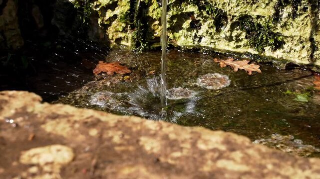 Fresh spring water flows with splashes into a natural stone basin in the forest in slow motion. Moss and algae cover the walls