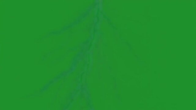 Lightning Bolt Strikes Green Background.