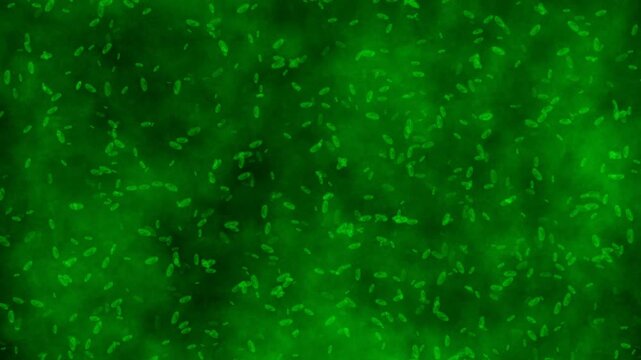 Green germ bacteria cell animated microscope medical background 4k video