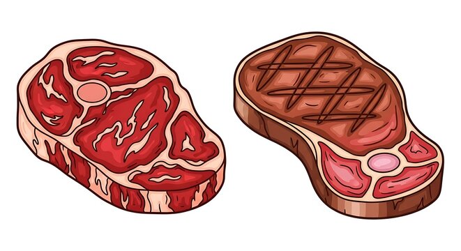 Raw and grilled steak cuts with bone and grill marks vector graphic illustration