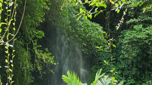 Rainforest Waterfall Scene. Peaceful Tropical Jungle Featuring Hanging Vines And Waterfall. Tranquil Rainforest Scene Showcasing Waterfalls Amidst Dense Green Foliage And Hanging Vines