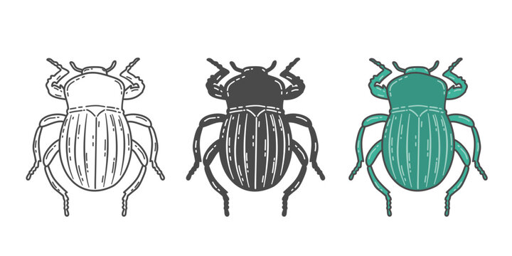 Beetle insect vector set, line art bug icons suitable for organic nature branding, sustainable product packaging and educational entomology projects.
