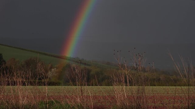 rainbow over the field