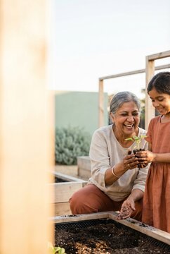 Joyful Indian grandmother and granddaughter bonding over gardening while holding a small green plant seedling together in a wooden raised bed during a sunny day outdoors in the garden