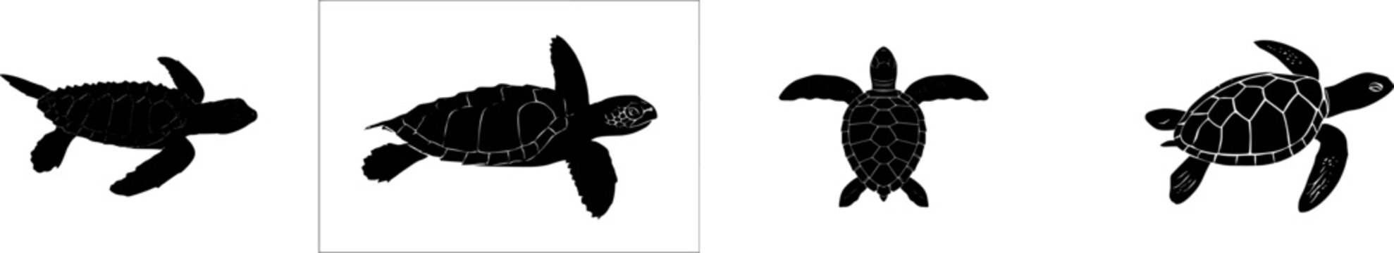 A highly detailed, photorealistic image of a single Leatherback Sea Turtle, featuring its unique ridged, rubbery black shell, isolated on a pure white background