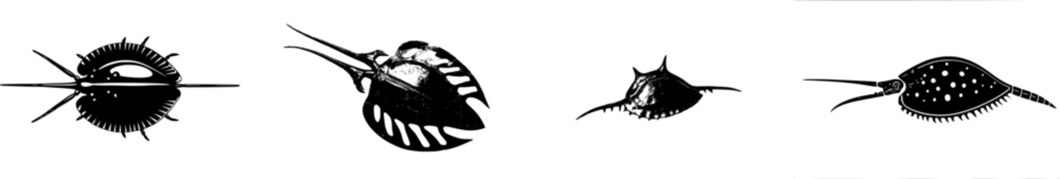 A highly detailed, photorealistic image of a single Horseshoe Crab, featuring its primitive, armored shell and long tail spine, isolated on a pure white background