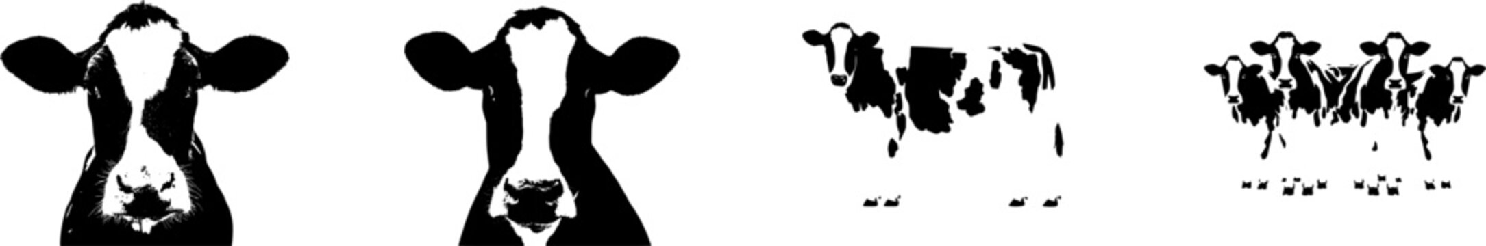 A highly detailed, photorealistic Holstein Friesian cow with its iconic black and white patched coat and calm expression is isolated on a pure white background