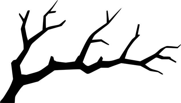 A highly detailed, photorealistic image of a mature Harry Lauders Walking Stick (Contorted Filbert) shrub, its extremely twisted, gnarled, and corkscrew-like branches, completely isolated on a pure