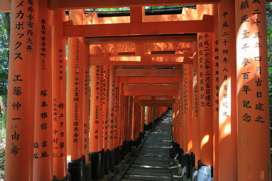 Pathway Through Red Torii Gates at Japanese Shrine with Traditional Inscriptions
