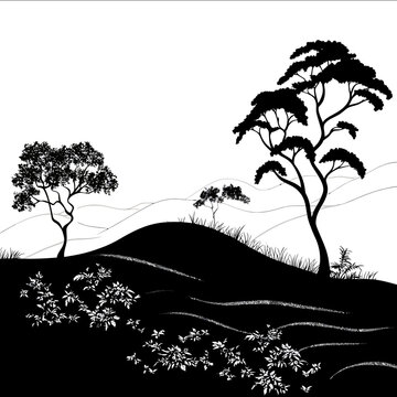 black silhouette Tea plantation on a white backgrounk vector
