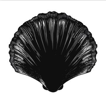 black silhouette limpet on a white backgrounk vector