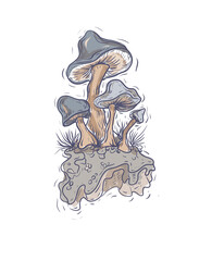 Naklejka premium Detailed hand-drawn pencil illustration of fantastic mushrooms. The artwork features mystical fungi with organic textures, twisted branches, and complex root systems. Black and white fine art graphics