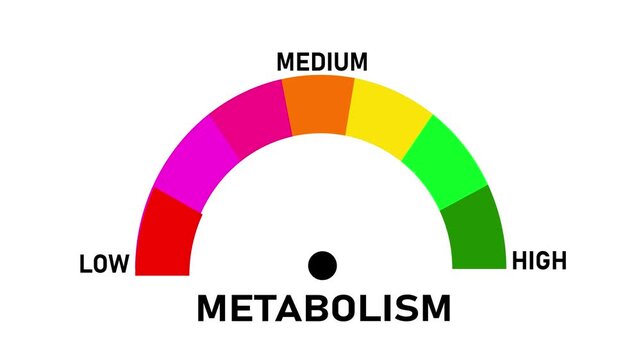 Animated digital gauge displays cortisol level, ranging from safe low to critical high, indicator changes through green, yellow, and Motion graphics of mater level concept