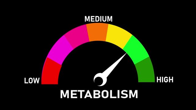 Animated digital gauge displays cortisol level, ranging from safe low to critical high, indicator changes through green, yellow, and Motion graphics of mater level concept