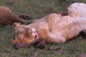 Bath Time © George Erwin Turner
