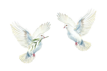 Obraz premium Two flying white doves. Symbol of purity, hope and faith. Hand drawn watercolor illustration, isolated. Suitable for designing cards and invitations for First Communion, Baptism and Easter.