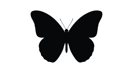 A strikingly simple black butterfly depiction against a white background silhouette © njhasan