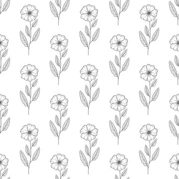 Floral seamless pattern with February birth month flower primrose in black line art style, hand drawn botanical outline illustration. Monochrome drawing for background, packaging, textile or wallpaper