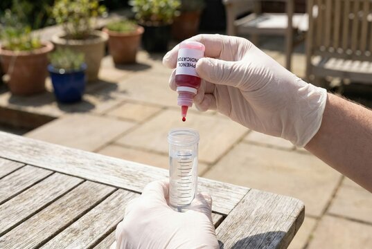 Person wearing latex gloves adding drops of phenol indicator to a clear water sample in a vial