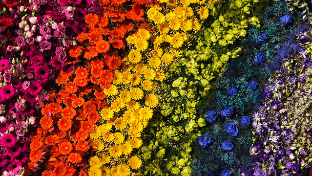 Rainbow flower background with vivid blossoms. Floral texture background with vibrant colors and decorative composition symbolizing diversity, inclusion, and LGBTQ pride.