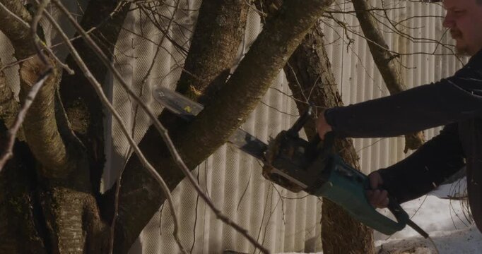 Caucasian man holding a powerful chainsaw sawing a thick branch of a fruit tree in an orchard during winter, with sawdust flying as the blade cuts through the wood in slow motion.