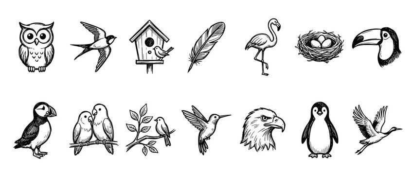 Diverse collection of hand-drawn bird illustrations, featuring an owl, swallow, flamingo, toucan, penguin, eagle, hummingbird, puffin, birdhouse, nest, and feather, in a charming sketch style