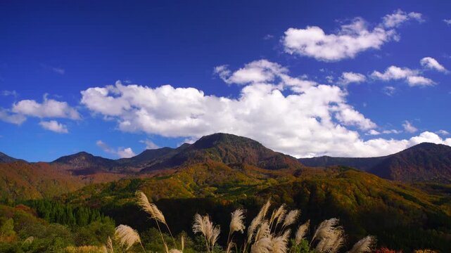 紅葉の槍ノ塔と苗場山などの山並みとススキと流れる雲