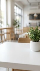 Fototapeta premium A small potted plant sits on a white table in a bright and airy cafe with wooden chairs and large windows