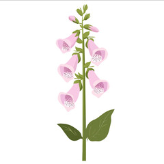 simple vector foxglove clipart illustration white background vector art style simple design flat illustration no shadows © nisti