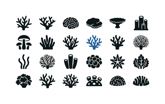 Tropical coral forms like branching staghorn brain coral plate coral and colorful reef growth structures from warm ocean