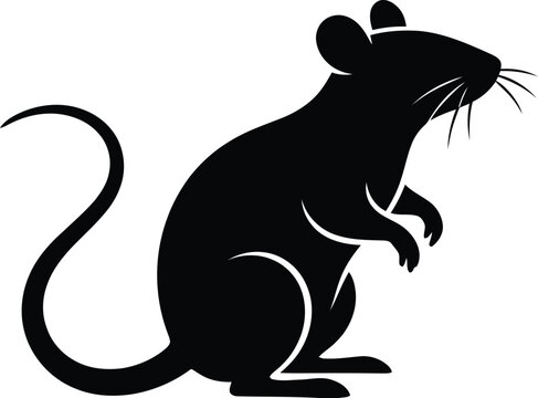 Black silhouette illustration of a mouse standing on its hind legs with a long tail and whiskers
