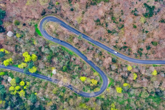 Aerial view of a winding road snaking through a dense forest, the asphalt ribbon cutting a path between vibrant green and brown foliage, Kintzheim, Grand Est, France.
