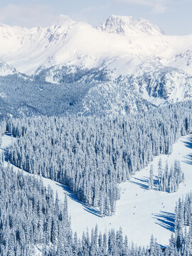 Aerial view of a Snow covered mountain landscape with evergreen trees, Vail, Colorado, USA