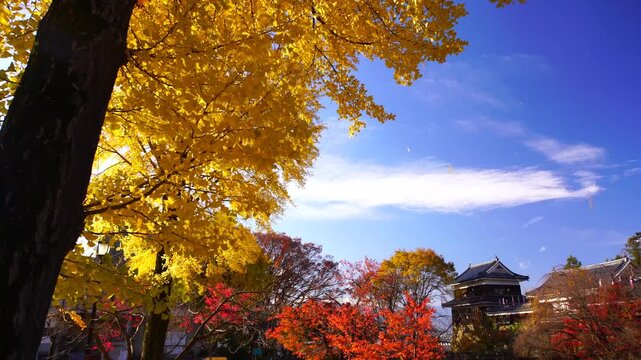 上田城と散るイチョウ