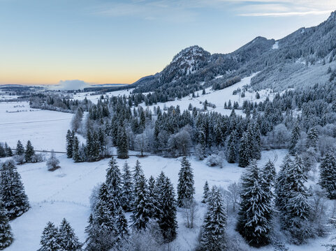Aerial view of a snow-laden forest and mountains, the crisp white landscape contrasting with the deep greens of the trees, Schwangau, Bayern, Germany.