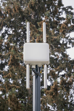 Public WiFi access point on pole in city park, wireless internet network equipment providing free connectivity outdoors