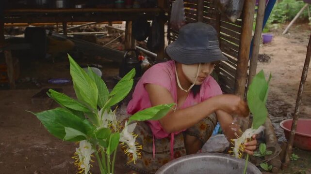 Burmese woman with traditional thanaka paste on her face washing flowers in an unregulated oil field